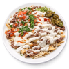 Carne Asada Fries